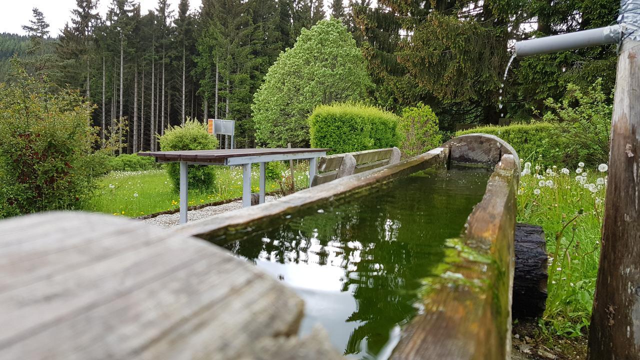 Roseggerhof Hotell Sankt Kathrein am Hauenstein Eksteriør bilde